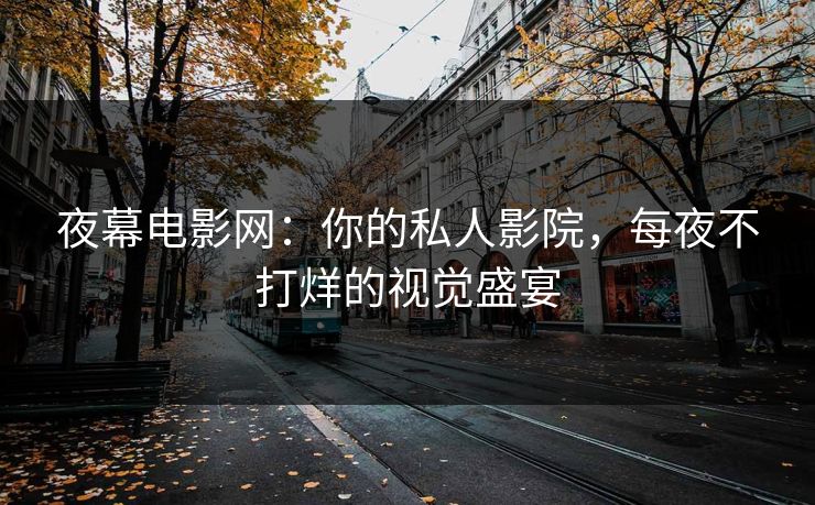 夜幕电影网：你的私人影院，每夜不打烊的视觉盛宴