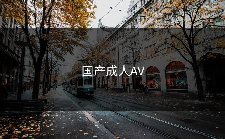 国产成人AV