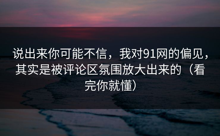 说出来你可能不信，我对91网的偏见，其实是被评论区氛围放大出来的（看完你就懂）